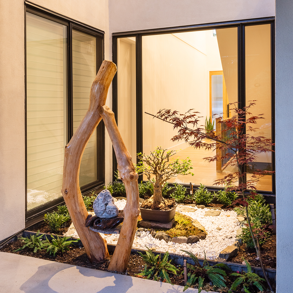 Rooted courtyard garden with a sculptural wood feature, white pebbles and plants beside large windows